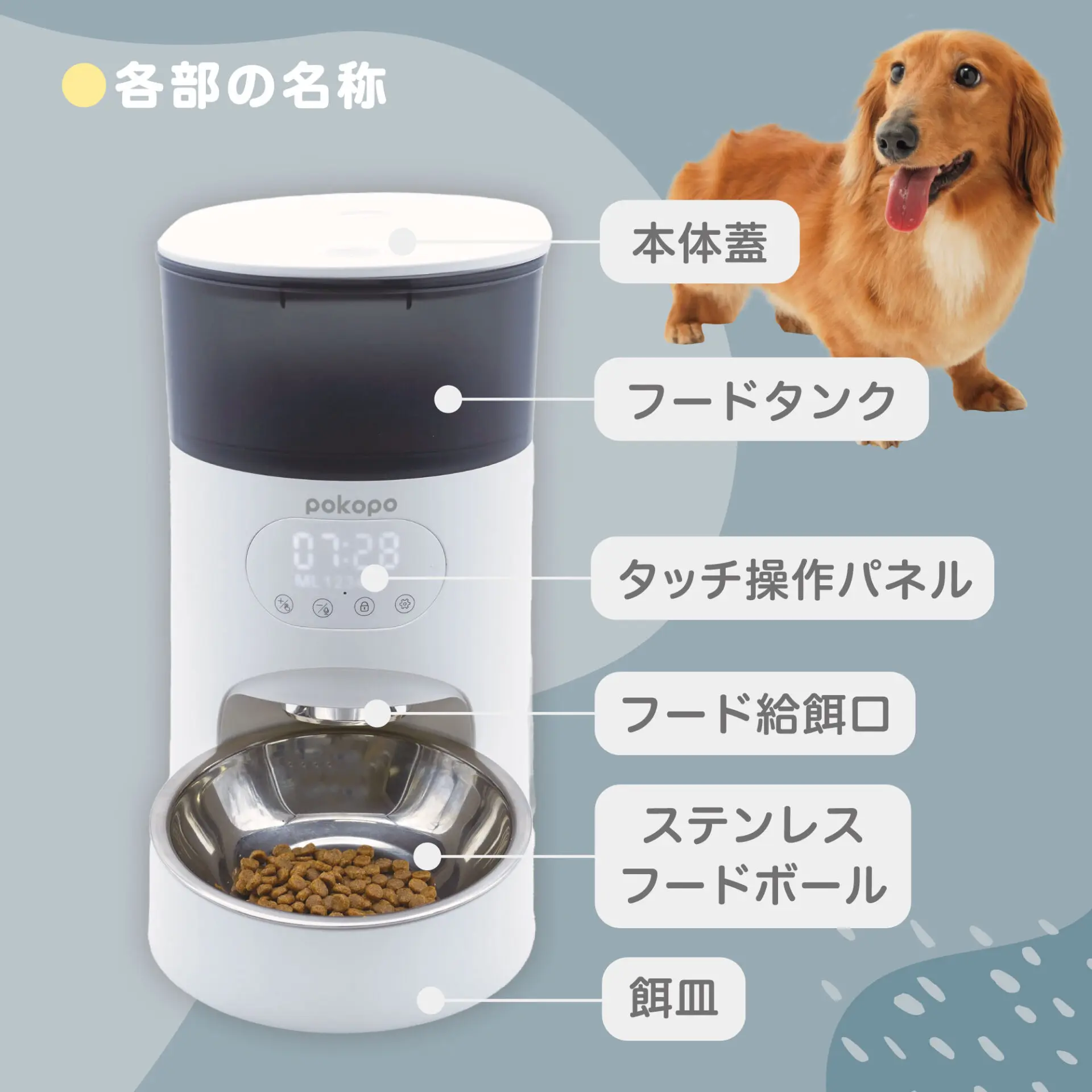 自動給餌器 POKOPO ez | イツワ商事株式会社 | コーポレートサイト