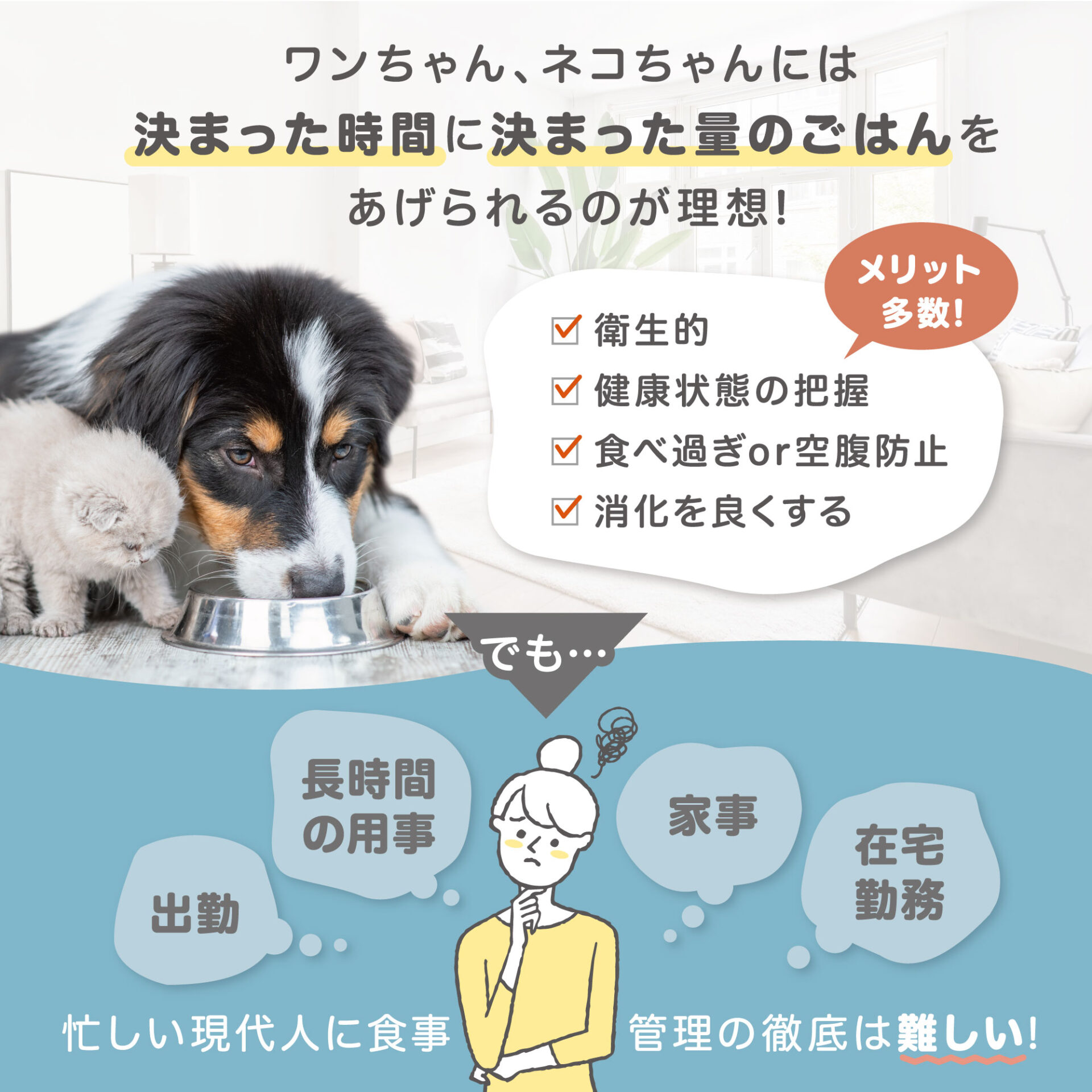 自動給餌器 pokopo ez
