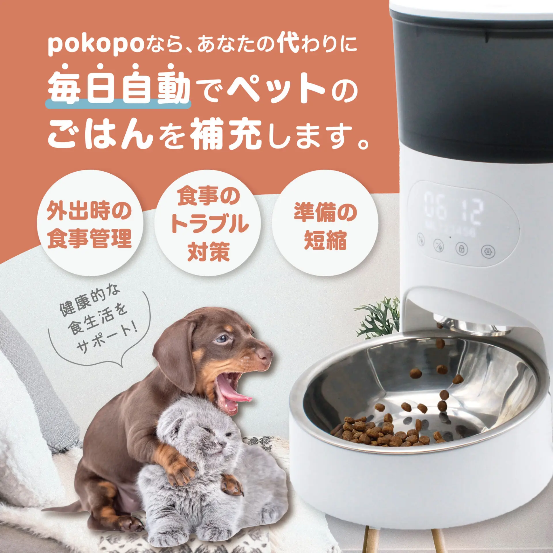 自動給餌器 POKOPO ez | イツワ商事株式会社 | コーポレートサイト