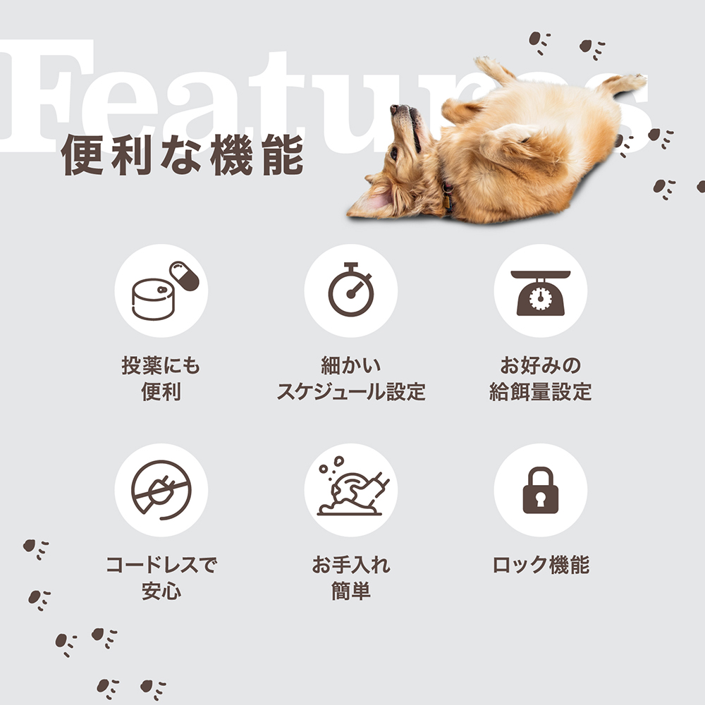 自動給餌器 pokopo wet mini